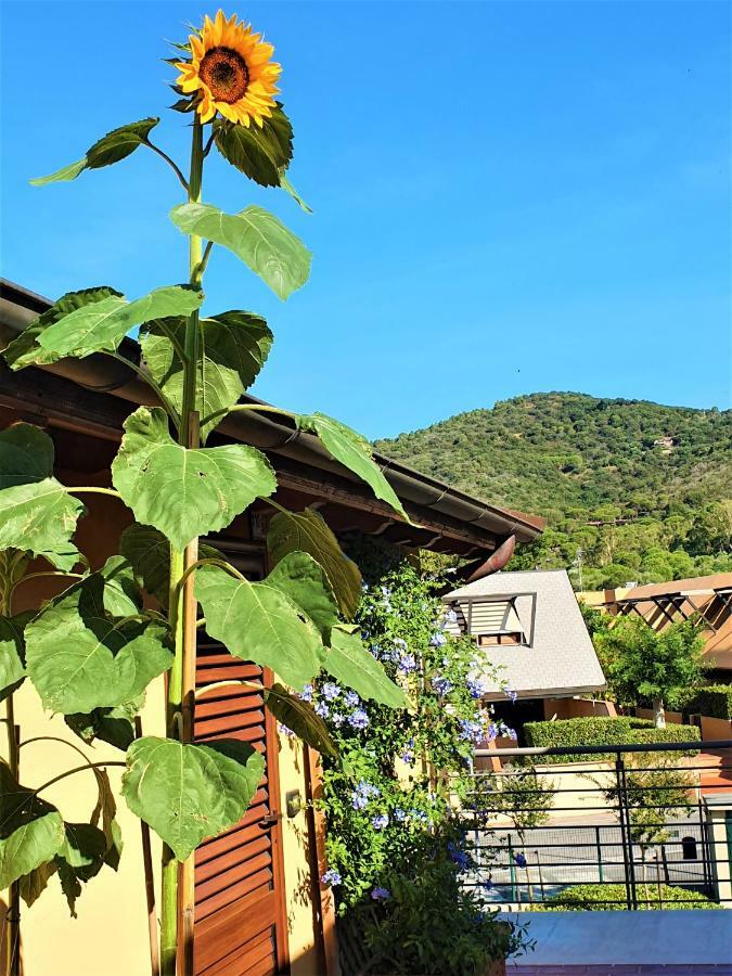 "La Terrazza Di Castiglione" Appartamenti Vacanza Castiglione della Pescaia Exteriör bild